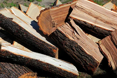 Elm firewood split by hand