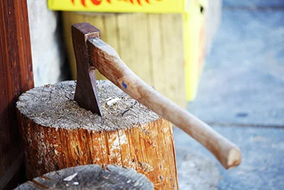 Axe-handle wood