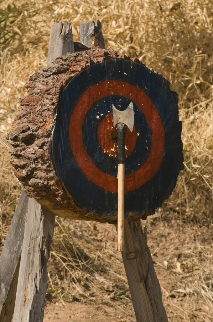 An Ax throwing target