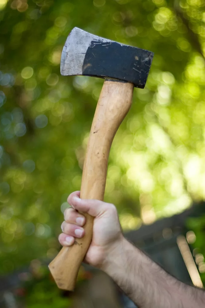 A man holding a hatchet in one hand