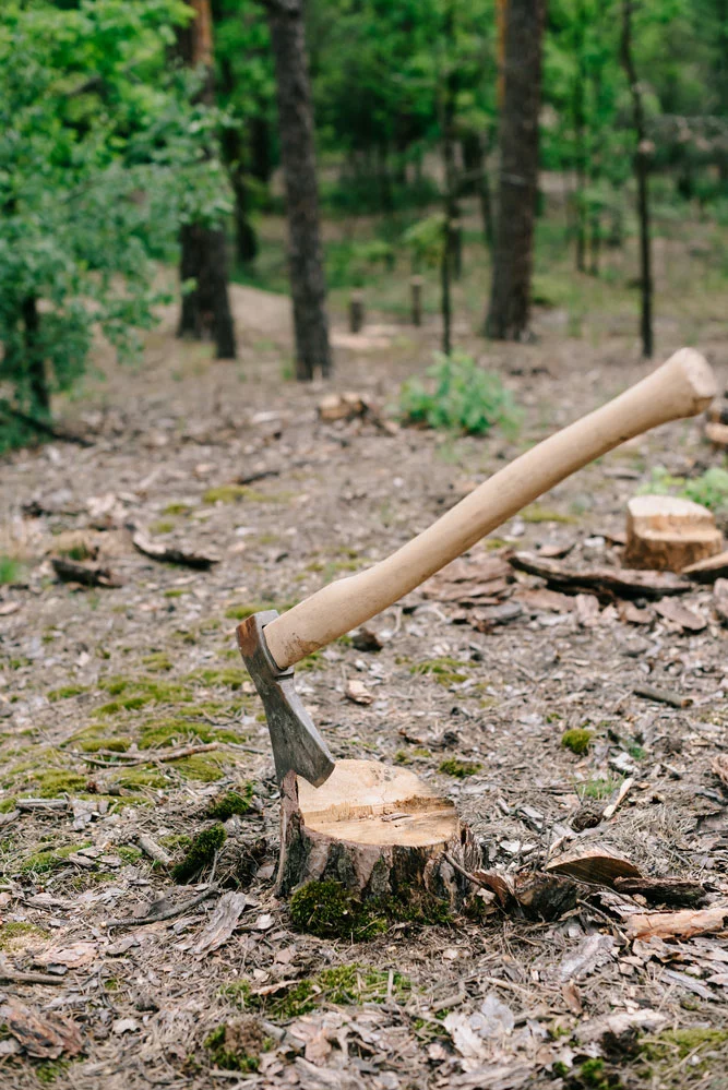 A typical forest ax