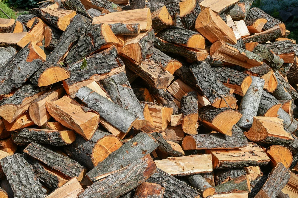 Stack of freshly chopped firewood of alder