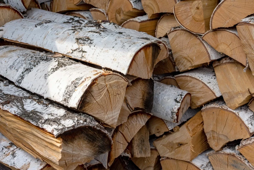 Stack of dried firewood from birch wood.