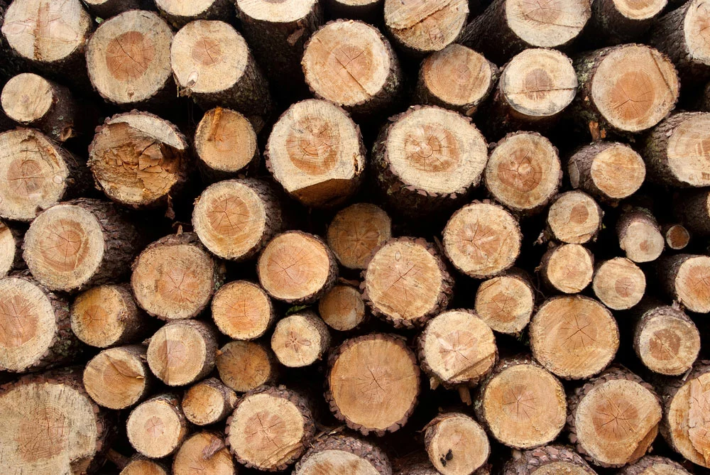 A pickaroon can help lumber.