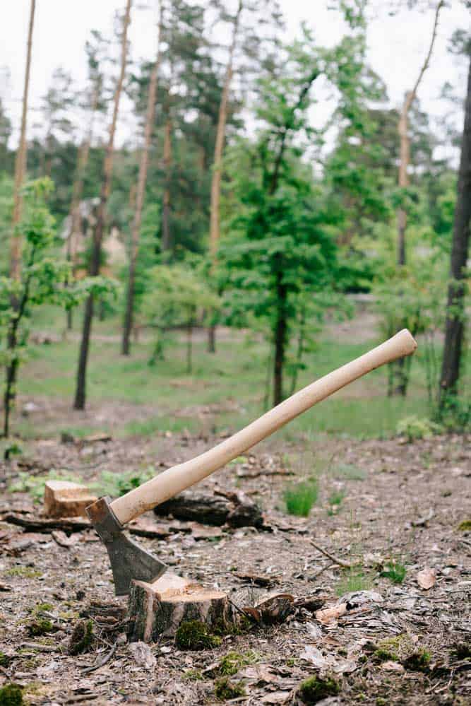 An axe with a long handle