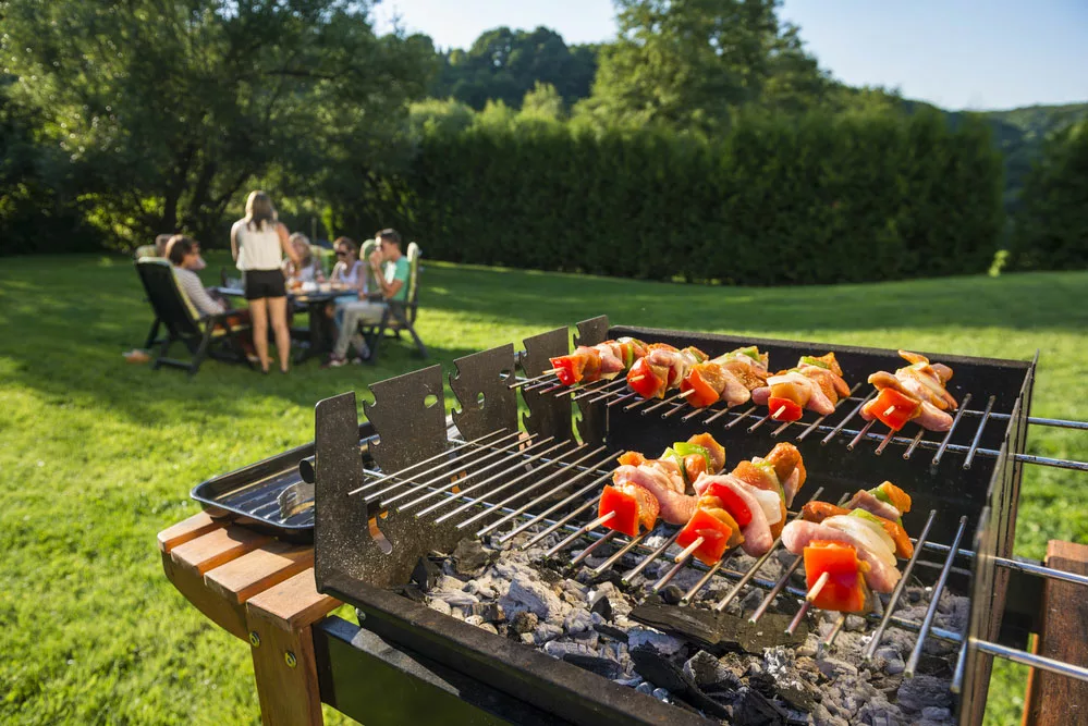 A barbeque in the backyard. 