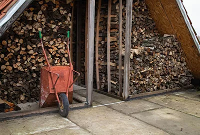 How to Store Firewood to Avoid Termites