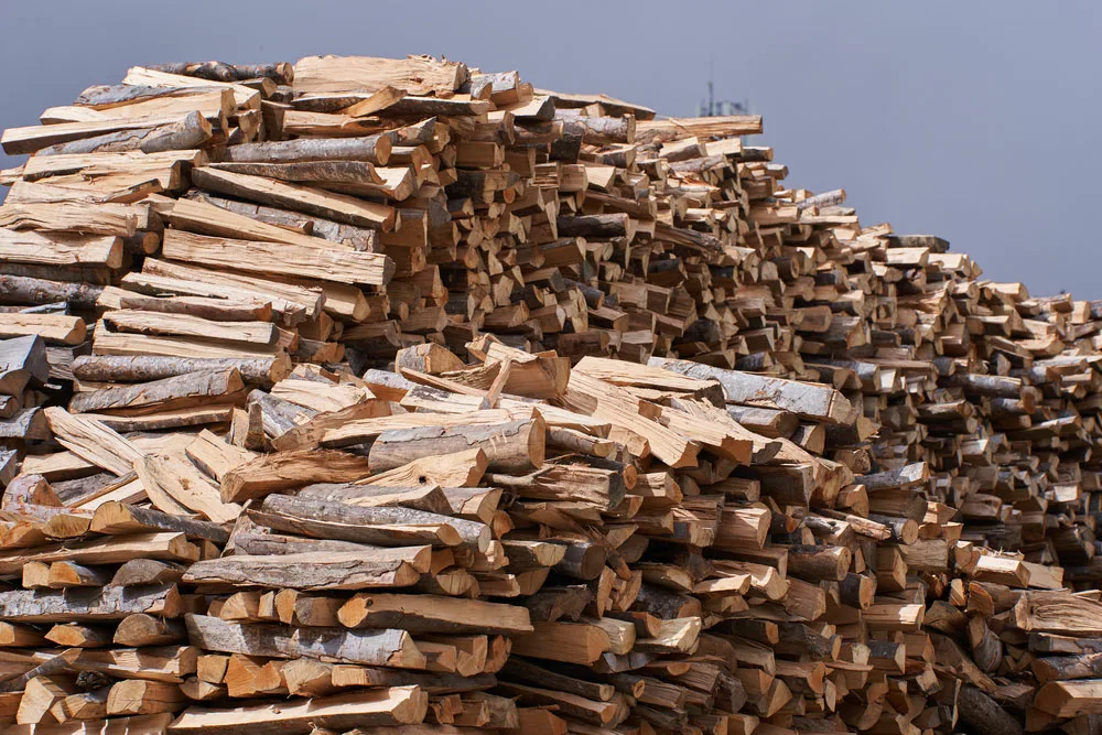 Big stacks of firewood for wintertime.