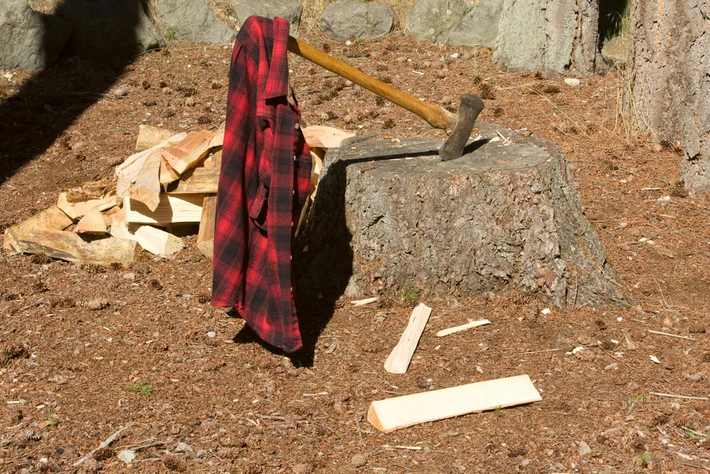 A double-bit axe on a tree stump. 