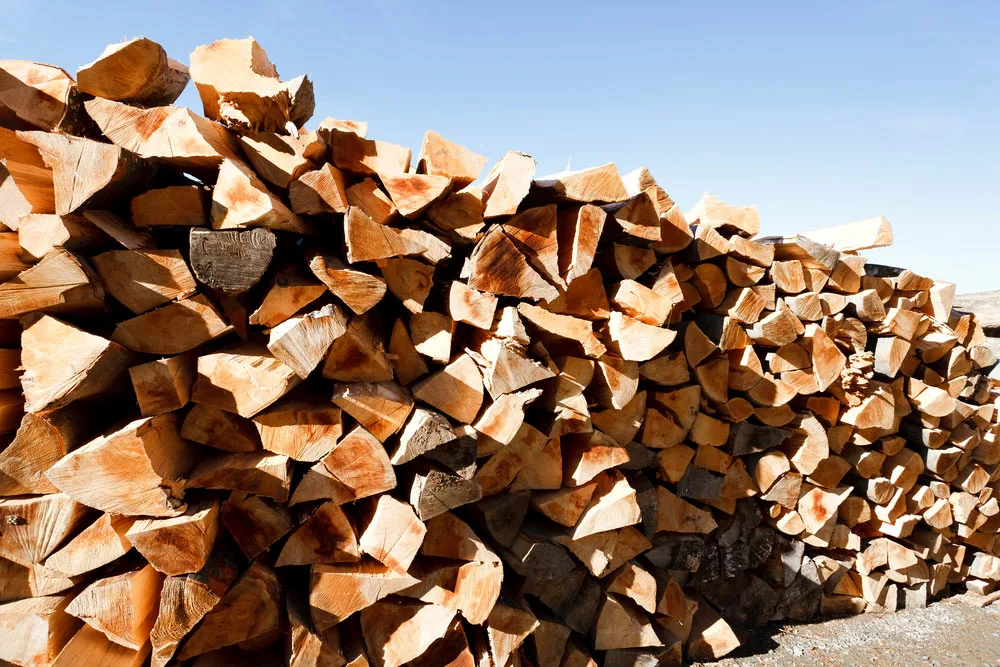A stack of firewood. 
