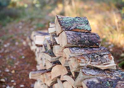 The cord of piled firewood