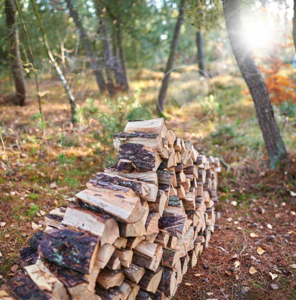 A huge log collection