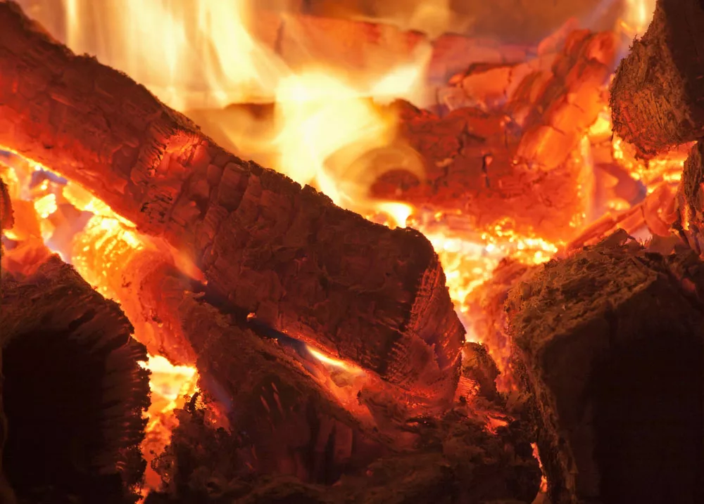 Burning firewood with barks.
