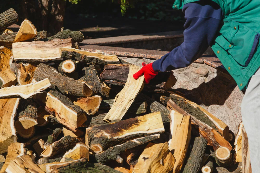 Inspecting seasoned firewood