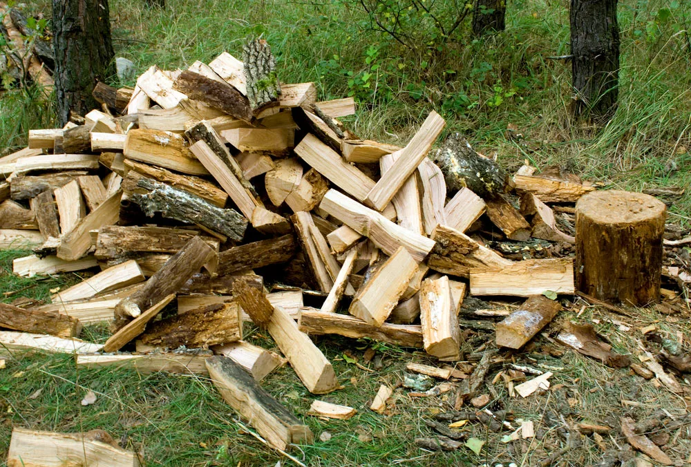 Firewood picture