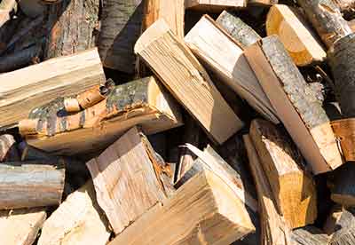 What Trees Are Good For Firewood, Selecting the appropriate type of wood for your fire can significantly impact the warmth you can get from the fire.