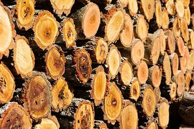 Oak Vs. Ash Firewood