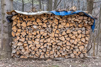 Firewood covered in a farm