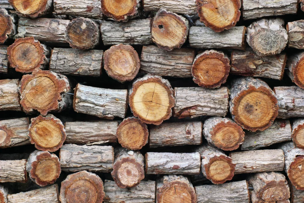 Well-seasoned Stumps of Wood 