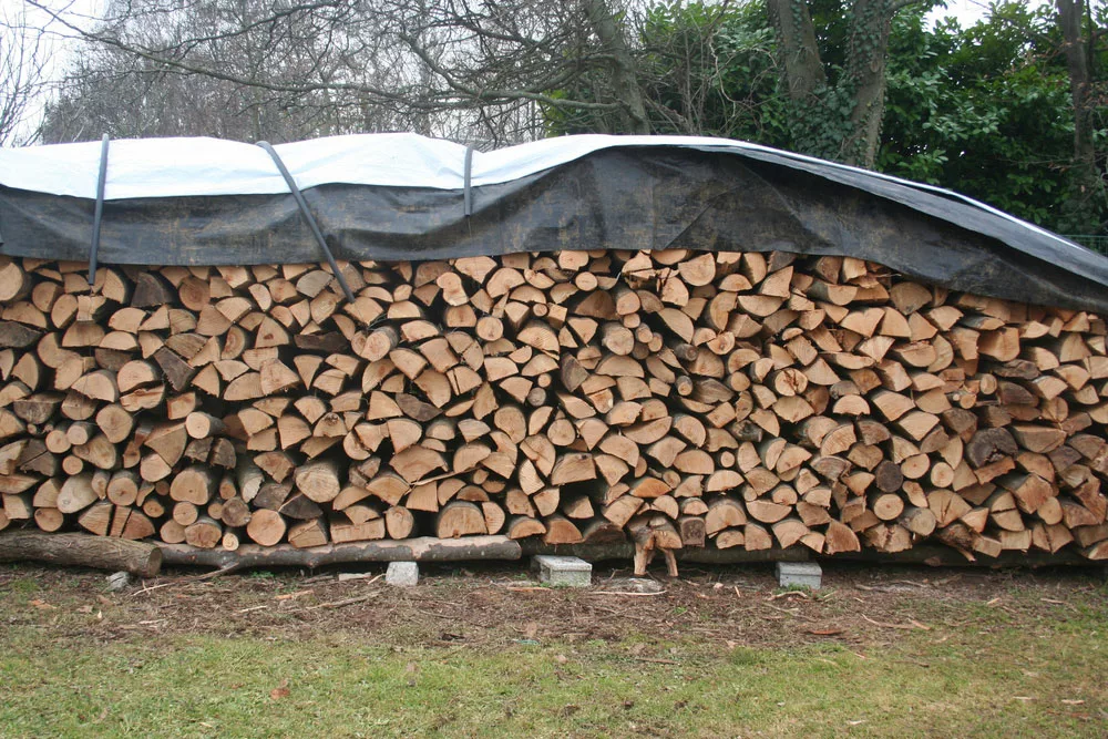 Arranging Firewood in an Outdoor Stack. 