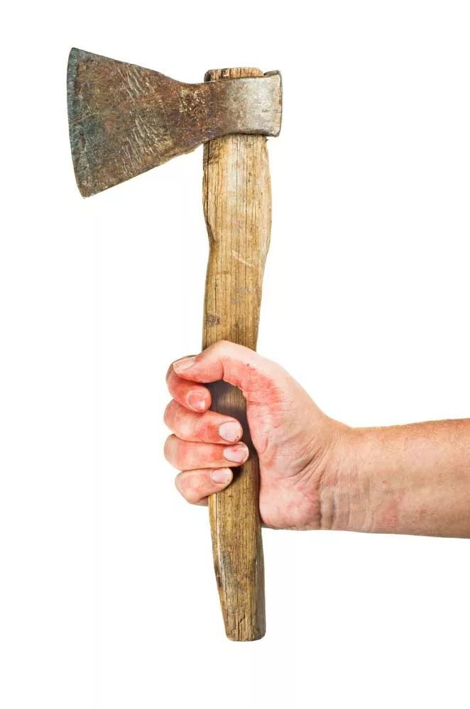 A modern-day hand axe