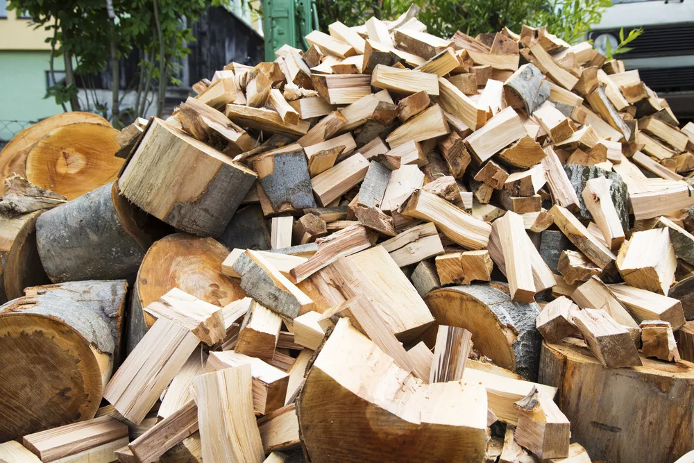 A heap of firewood