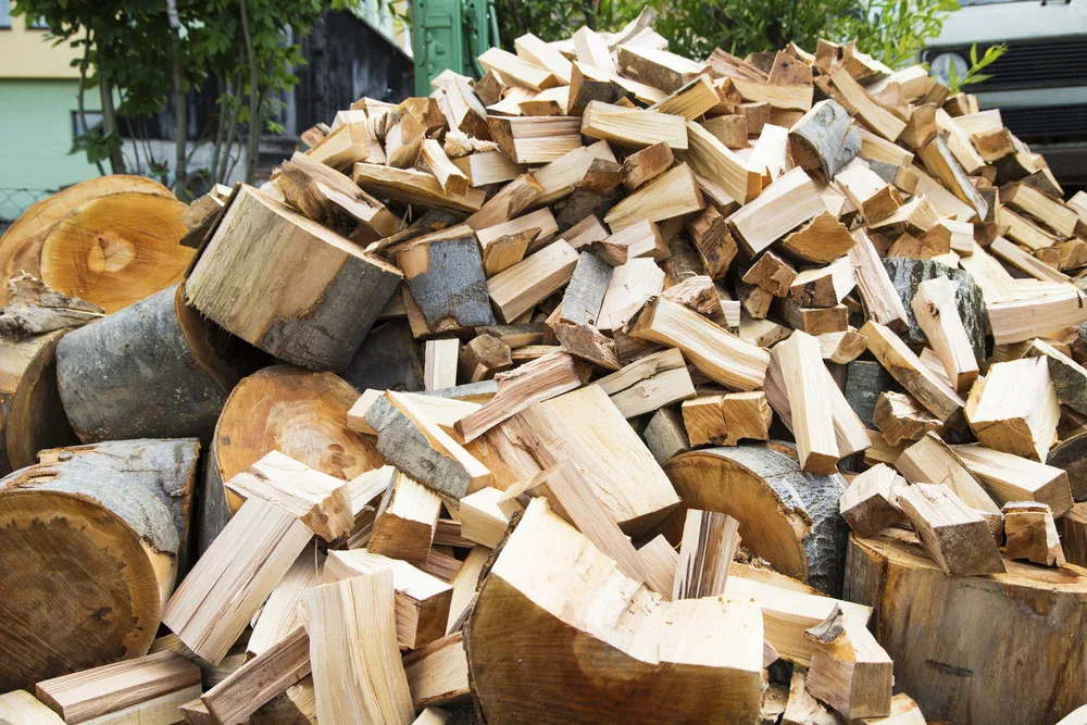 A firewood stack. 