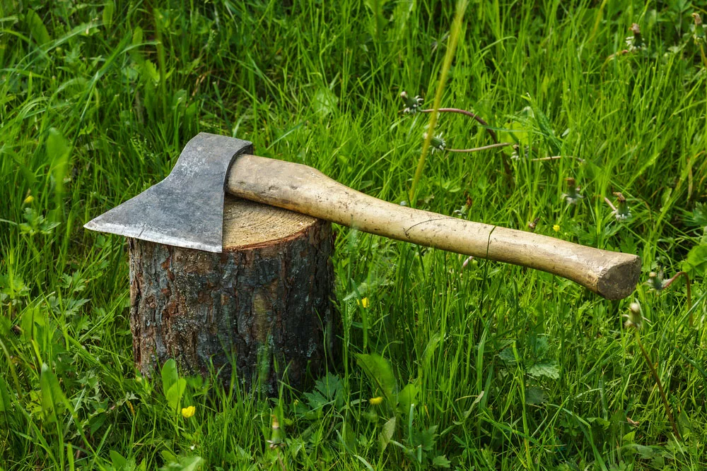 an axe on a stump