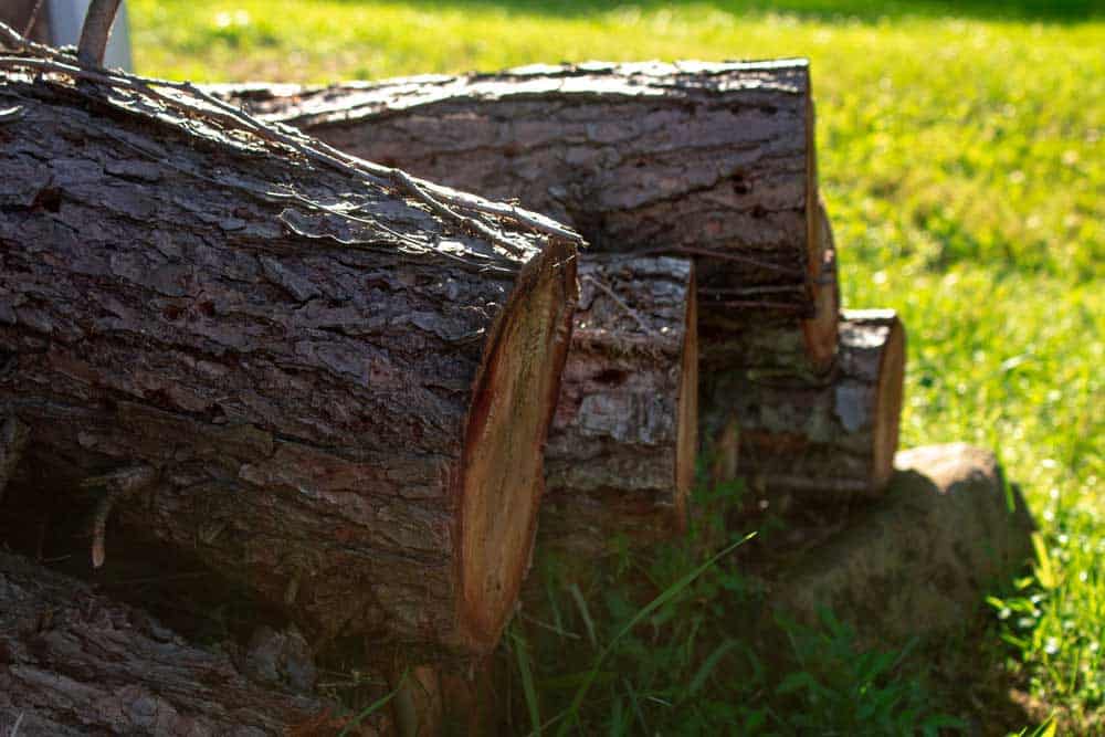 A pile of wood on the grass