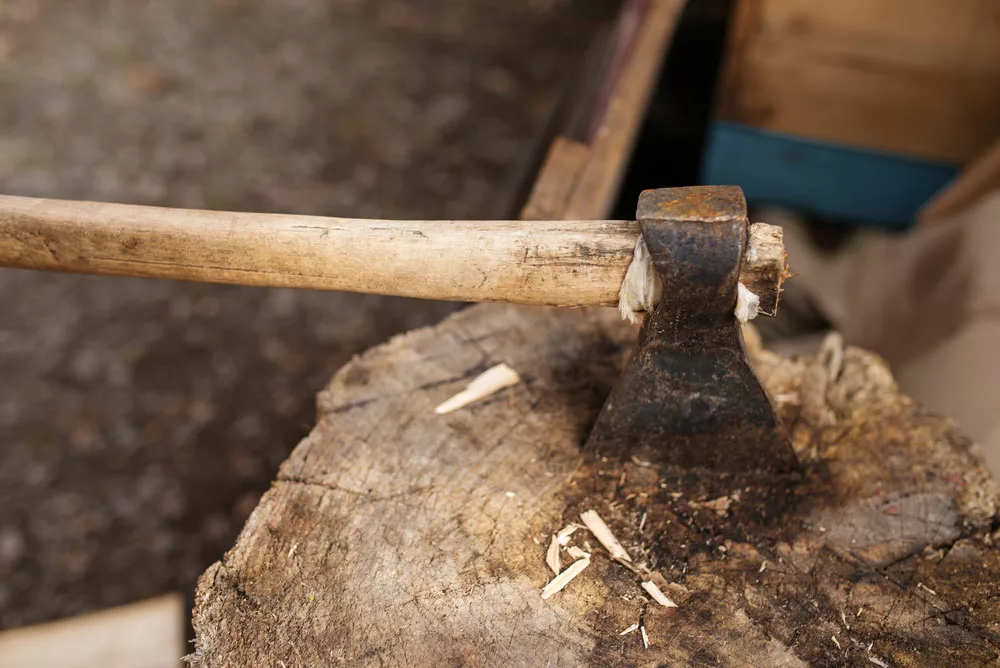 A ax in stump