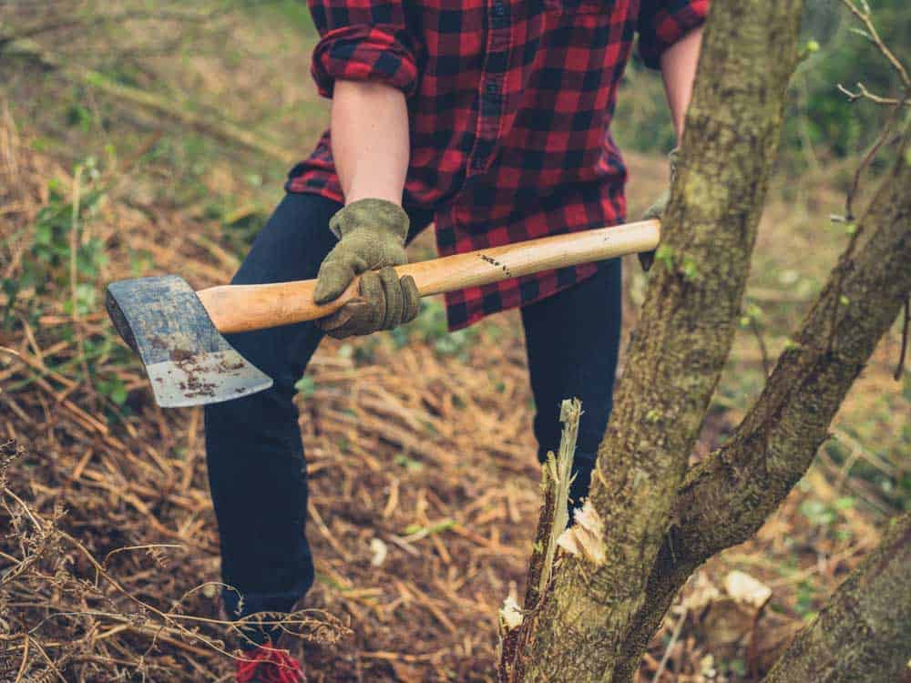 using an axe to cut down a tree