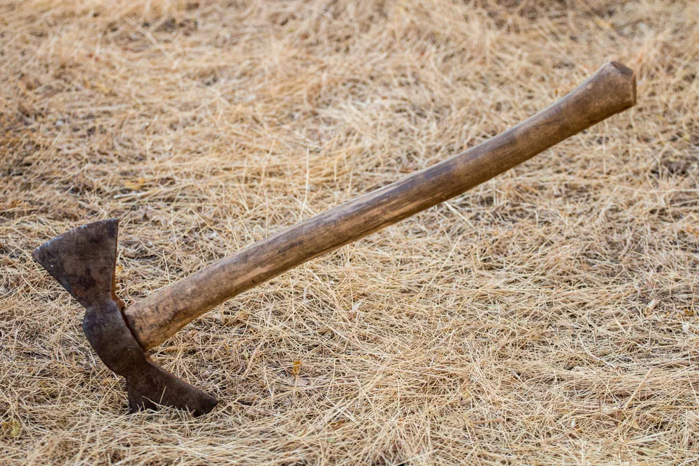 A double-sided axe placed on the ground