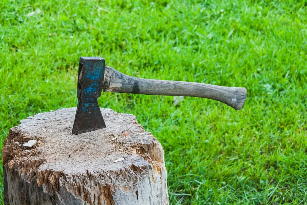 Axe suspended on a tree trunk