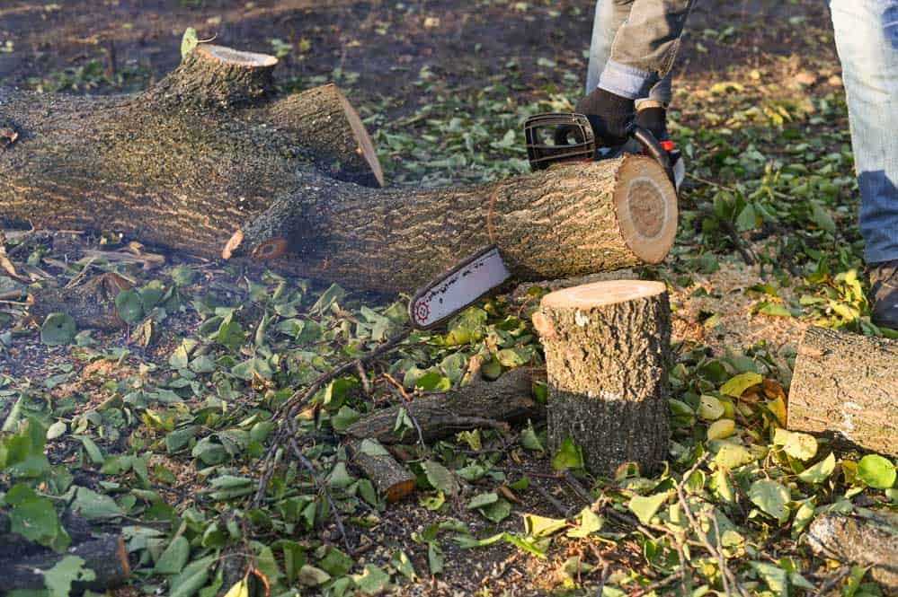 a chainsaw cutting wood