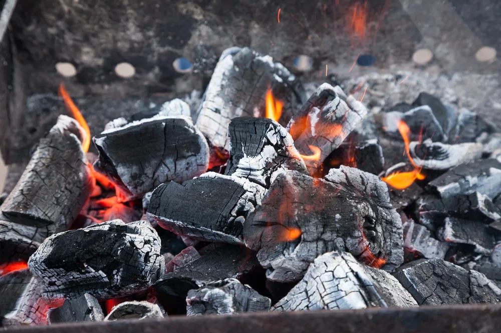 Firewood Coals