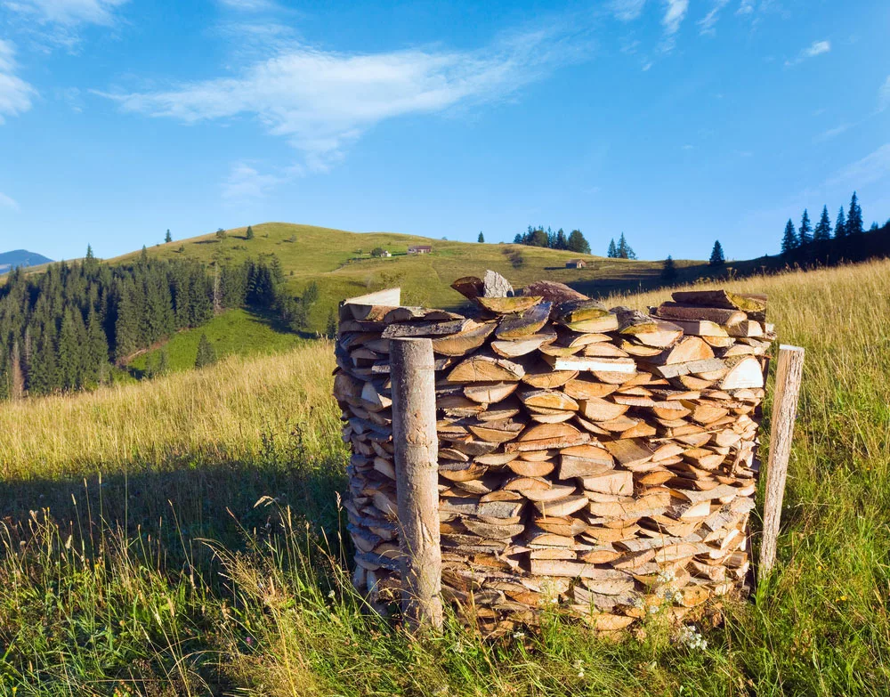 A firewood stack. 