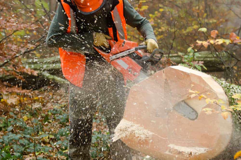 A man working with a lumberjack